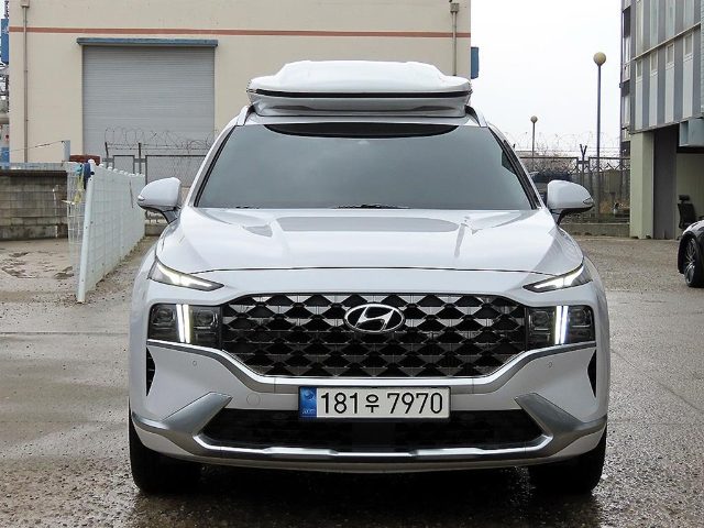 2020 Hyundai Santa Fe 디젤 2.2 4WD 캘리그래피