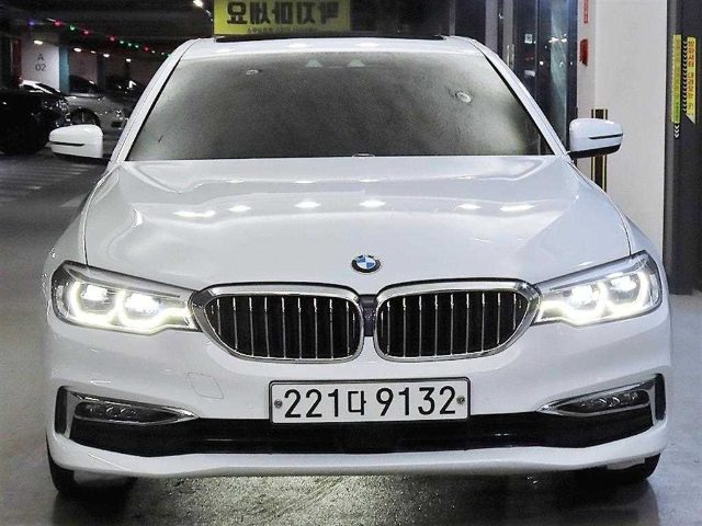 2018 BMW 5 Series (G30) 530i xDrive 럭셔리 플러스