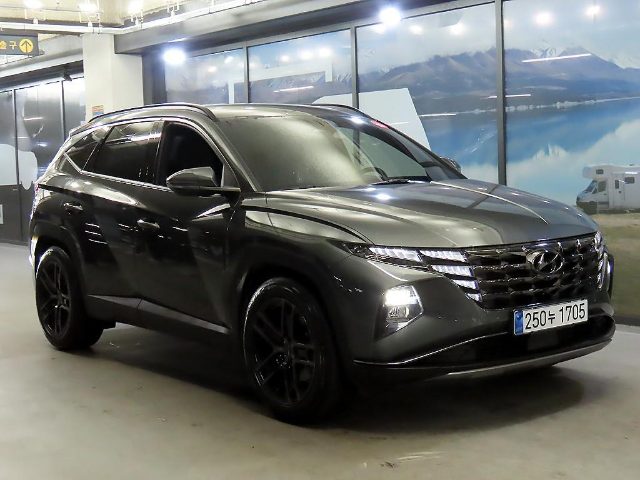 2021 Hyundai Tucson (NX4) 디젤 2.0 2WD 인스퍼레이션