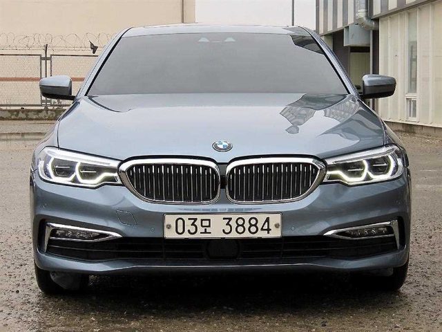 2018 BMW 5 Series (G30) 520d xDrive 럭셔리 플러스