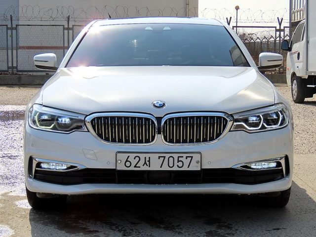 2018 BMW 5 Series (G30) 520d xDrive 럭셔리 플러스