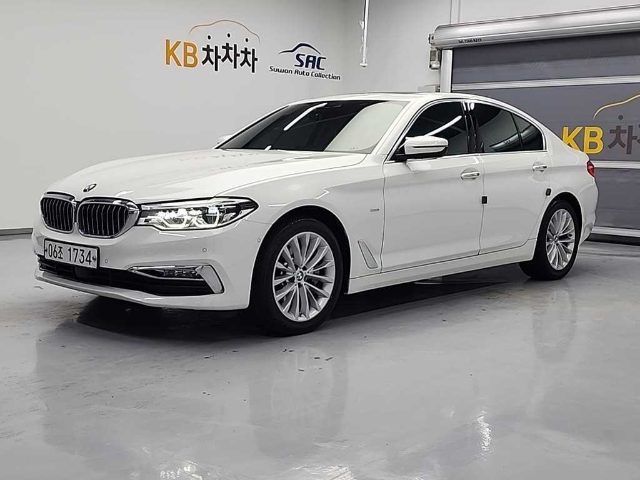 2018 BMW 5 Series (G30) 530i xDrive 럭셔리 플러스