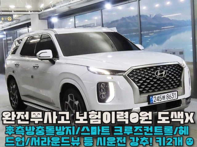 2022 Hyundai Palisade 디젤 2.2 4WD 캘리그래피