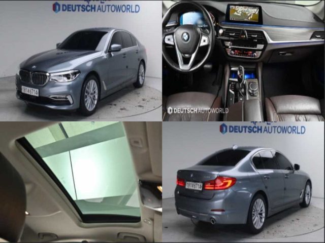 2019 BMW 5 Series (G30) 530i xDrive 럭셔리 플러스