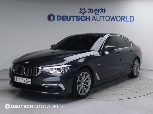 2018 BMW 5 Series (G30) 520i 럭셔리