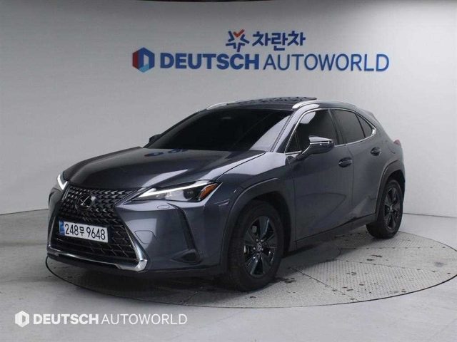 2024 Lexus UX 300h 2.0