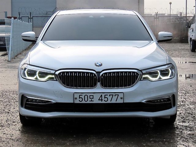 2019 BMW 5 Series (G30) 530i xDrive 럭셔리 플러스