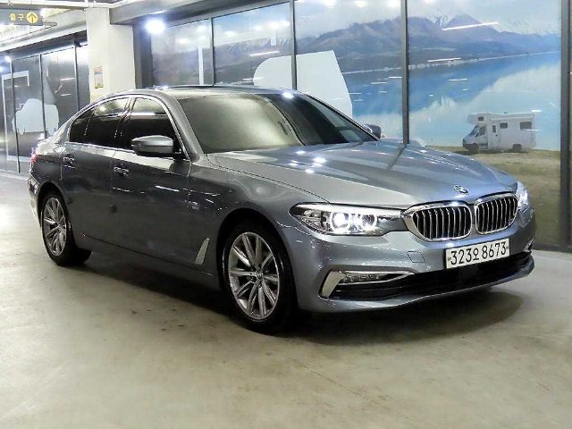 2019 BMW 5 Series (G30) 520i 럭셔리