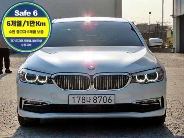 2019 BMW 5 Series (G30) 520i 럭셔리