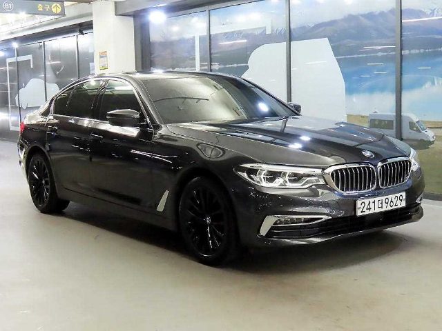 2020 BMW 5 Series (G30) 530i 럭셔리 플러스
