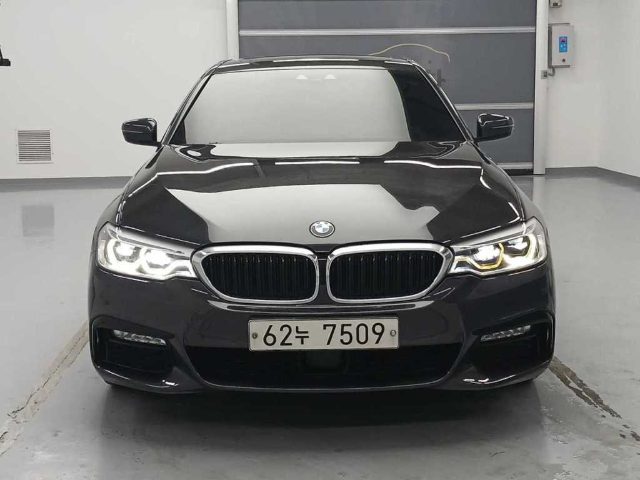 2017 BMW 5 Series (G30) 530i xDrive M 스포츠