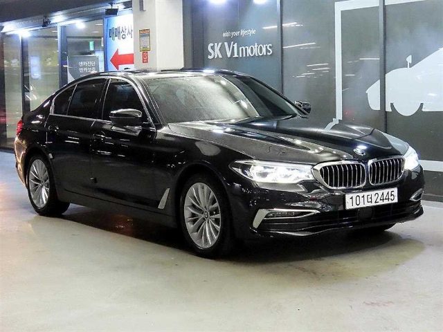 2019 BMW 5 Series (G30) 530i xDrive 럭셔리 플러스
