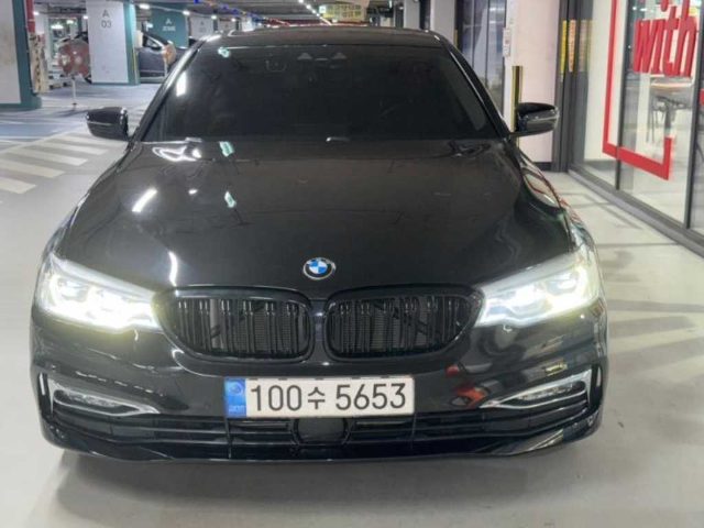 2018 BMW 5 Series (G30) 520d xDrive 럭셔리 플러스