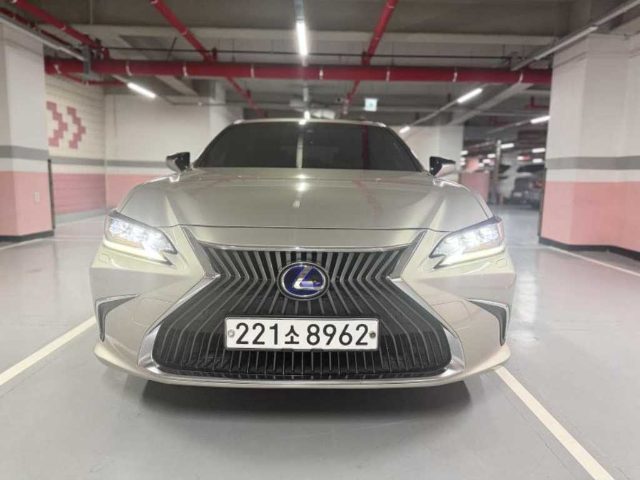 2019 Lexus ES 7세대 이그제큐티브