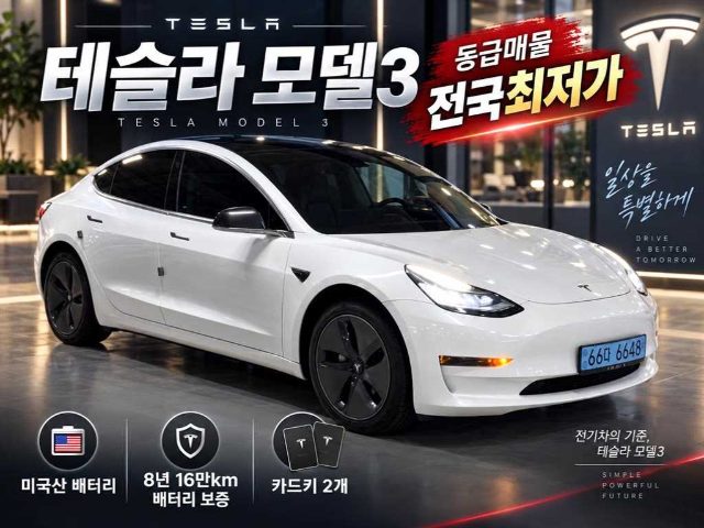 2020 Tesla Model 3 스탠다드 레인지 플러스