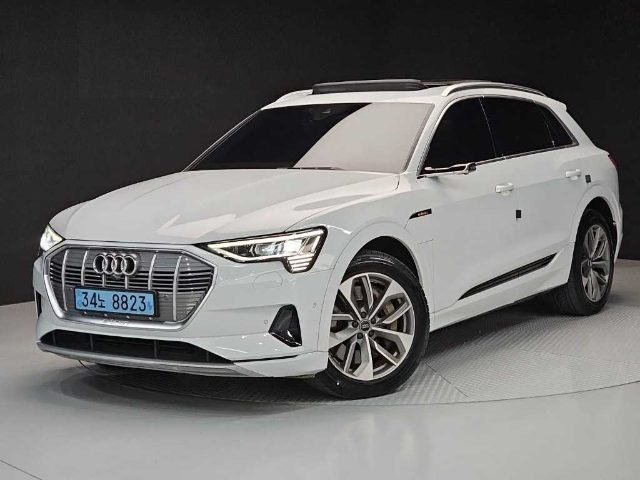 2020 Audi e-tron 55 콰트로