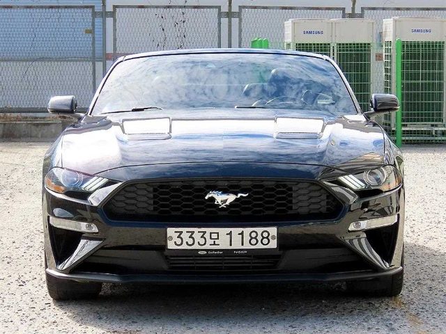 2019 Ford Mustang 컨버터블