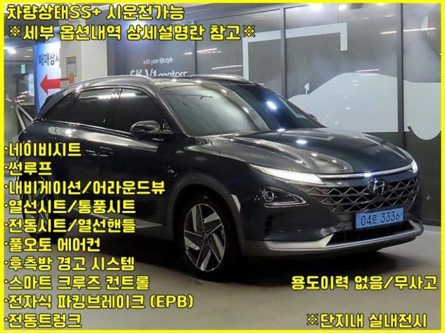 2019 Hyundai Nexo 프리미엄