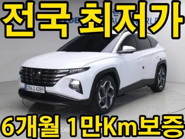 2020 Hyundai Tucson (NX4) 가솔린 1.6 터보 2WD 인스퍼레이션