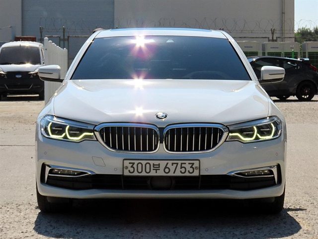 2019 BMW 5 Series (G30) 530i 럭셔리 플러스