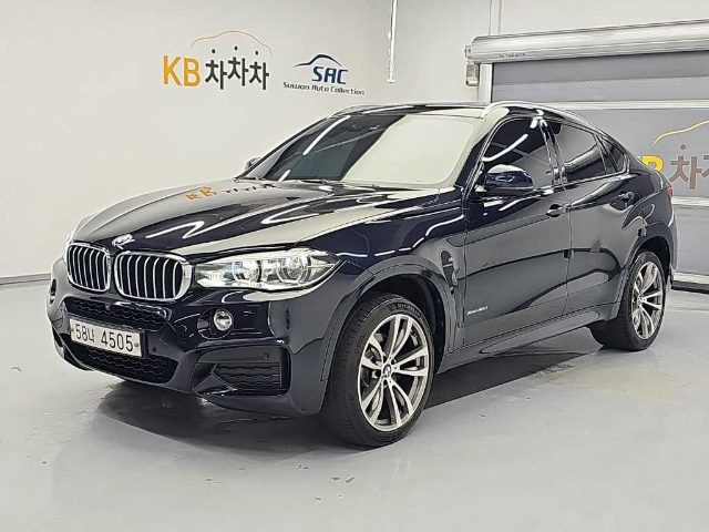 2018 BMW X6 (F16) xDrive 40d M 스포츠