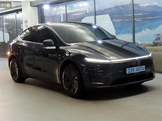 2025 Tesla Model Y RWD