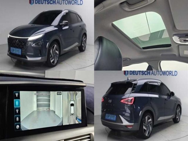 2019 Hyundai Nexo 프리미엄