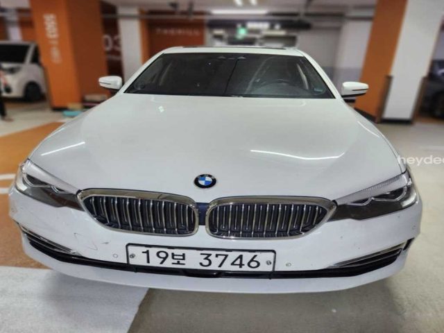 2018 BMW 5 Series (G30) 520i 럭셔리