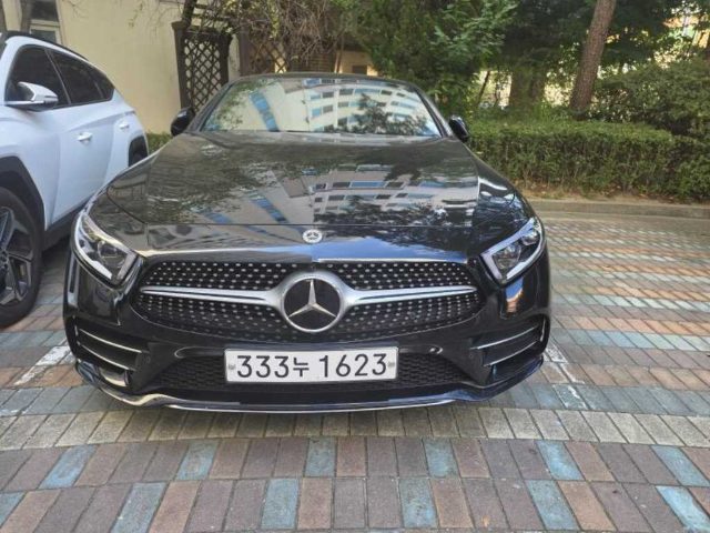 2019 Mercedes-Benz CLS C257 CLS 450 4MATIC AMG Line