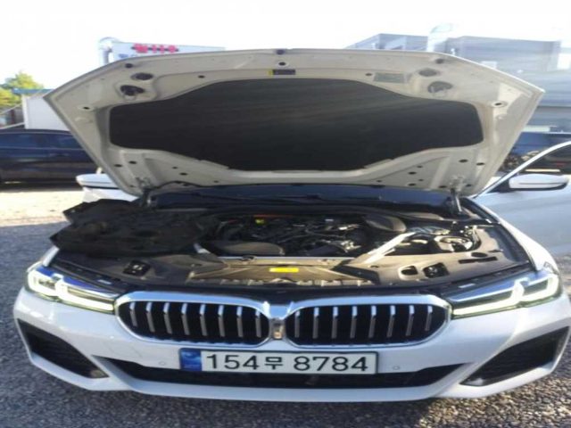 2021 BMW 5 Series (G30) 530e M 스포츠