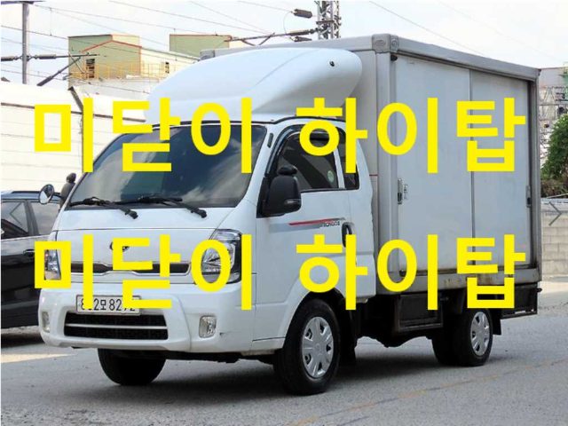 2020 Kia Bongo 3 (LPG) 하이내장탑
